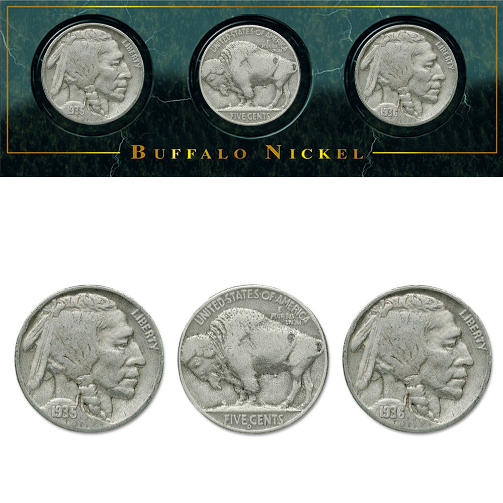 Sammlermünzen von Amerika - Buffalo Nickel Set